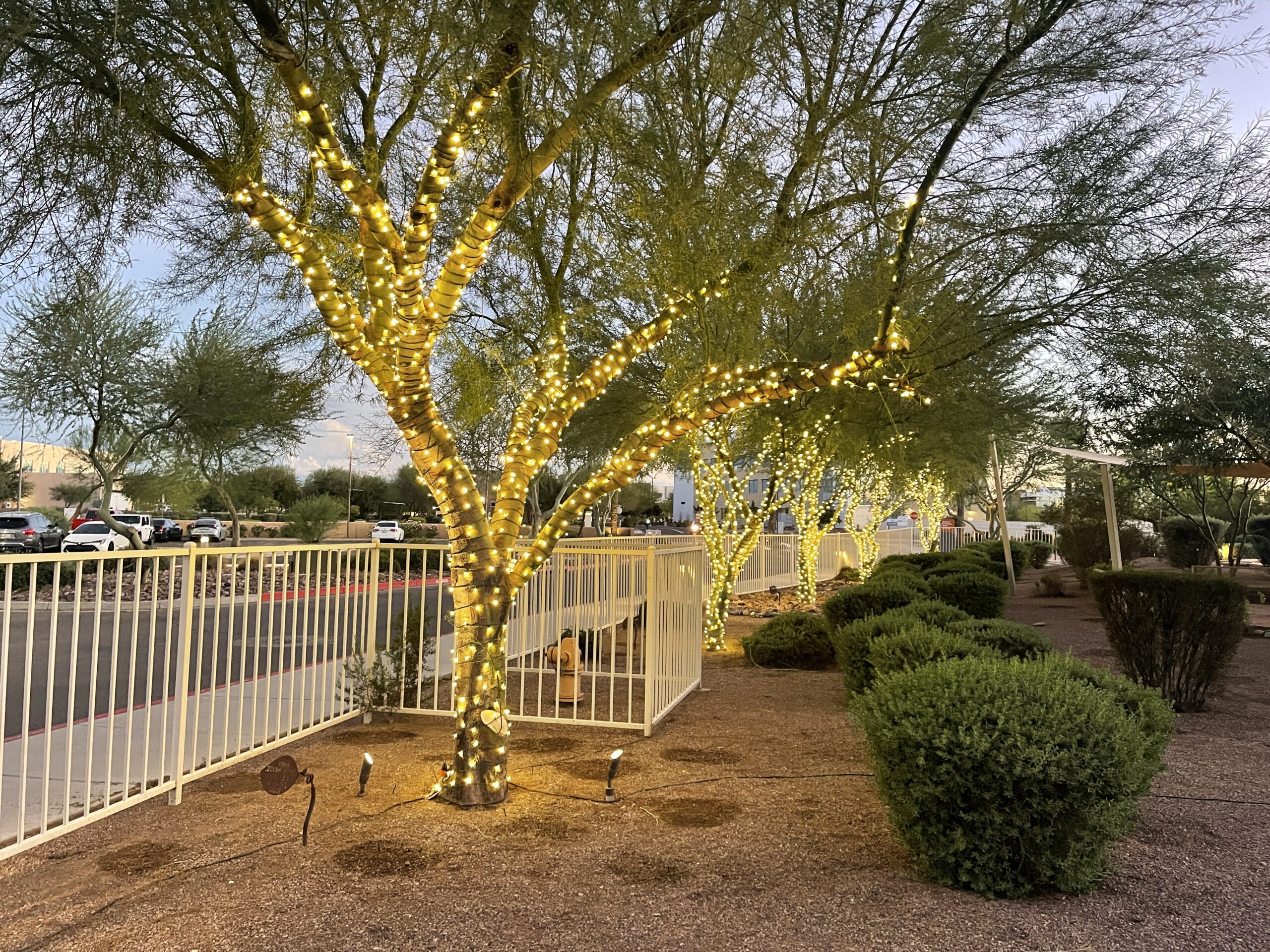 True North Holiday Christmas and Best Christmas and Holiday Decorating Services AZ 47