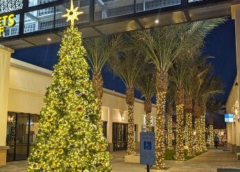 The Latest Trends in Commercial Christmas Lighting for 2024