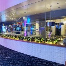 True North Holiday Christmas and Holiday Decorating Services decor mall