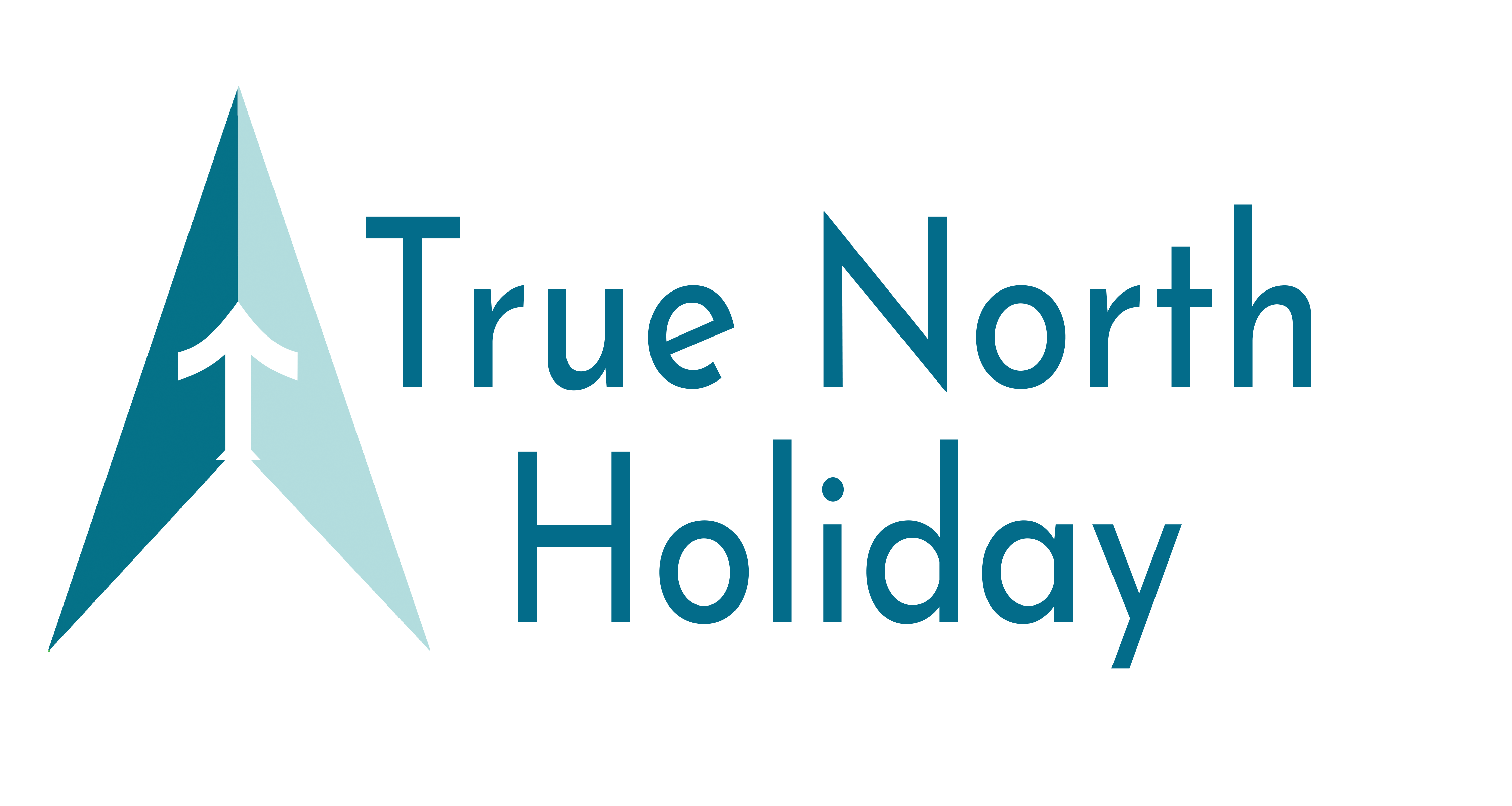 True North Holiday Christmas and Holiday Decorating Services