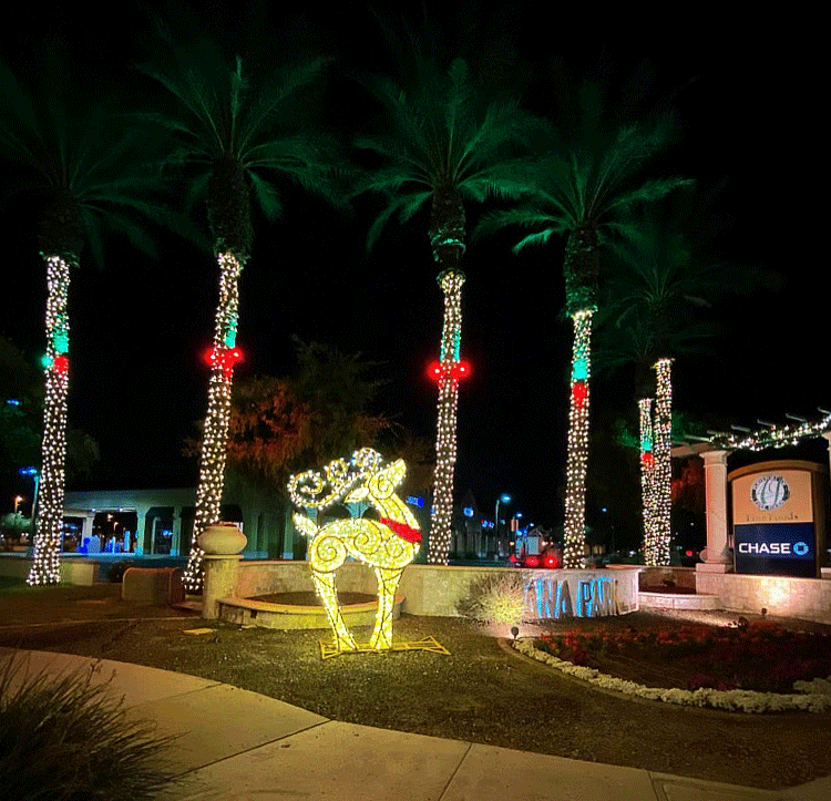 True North Holiday Christmas and Best Christmas and Holiday Decorating Services AZ 41